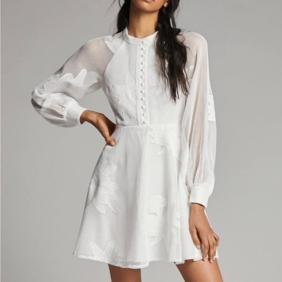 Anthropologie White Floral Mesh Mini Dress